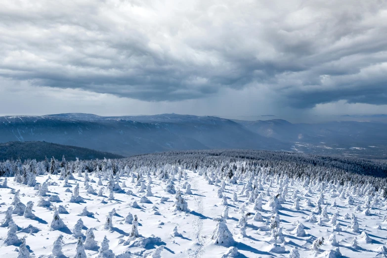 a mountain covered in snow next to the snow covered forest