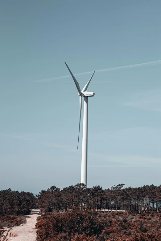 a wind turbine that is in the middle of trees