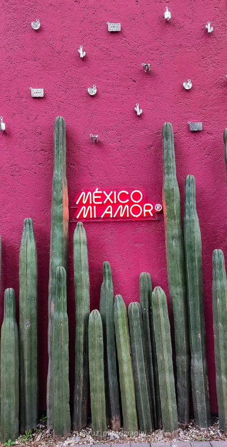 the sign on the building reads mexico a major tourist attraction