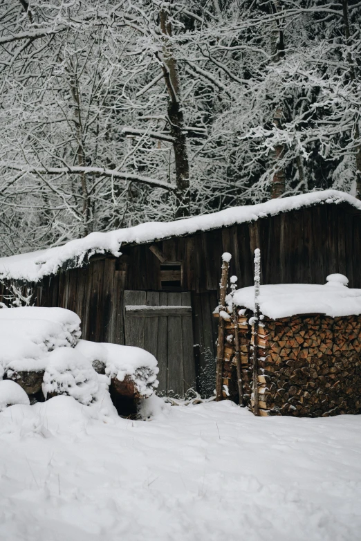 a covered shed sits in a snow - covered forest
