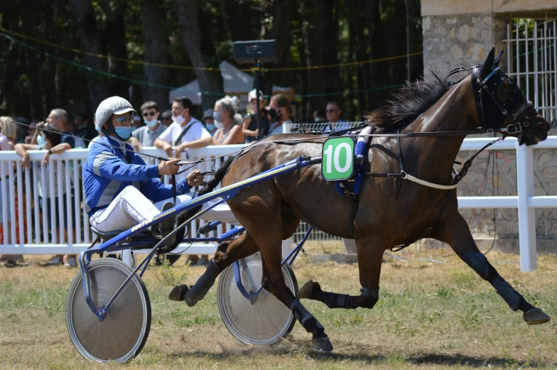 two horse and buggy racing on the grass