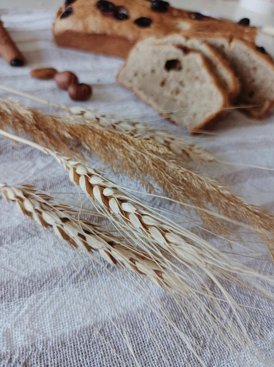 two pieces of bread with brown seeds sitting on top of it