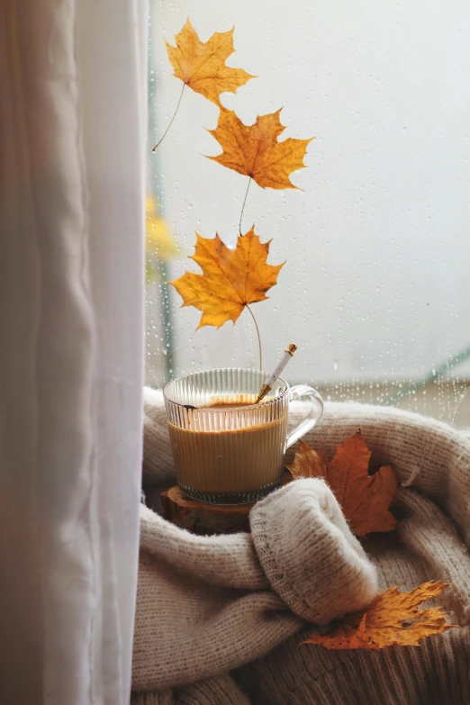 fall leaves hanging from a wire in front of the window