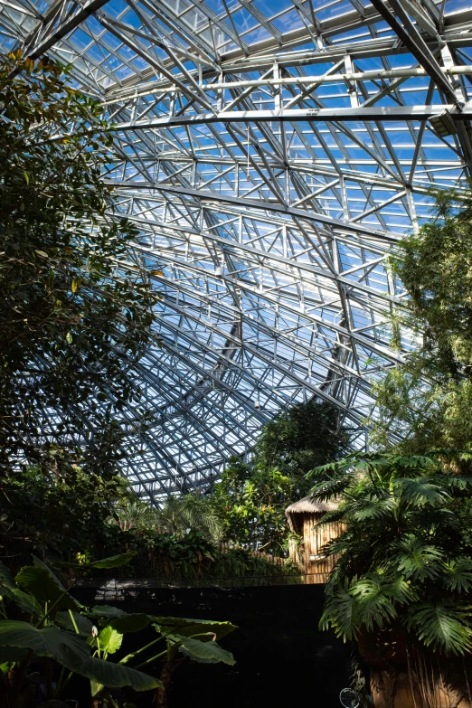 this large indoor greenhouse is so much much