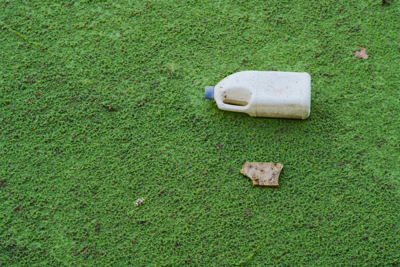 a water bottle laying on top of a lush green field