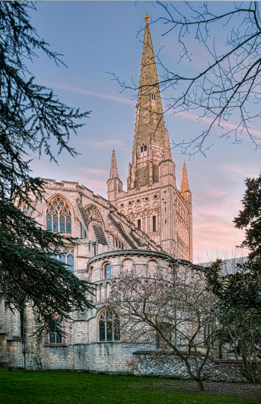 the steeple of a cathedral at dusk in front of a tree