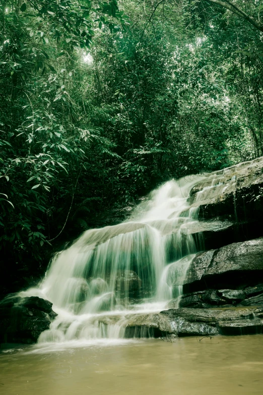 a close up s of a waterfall with a forest in the background