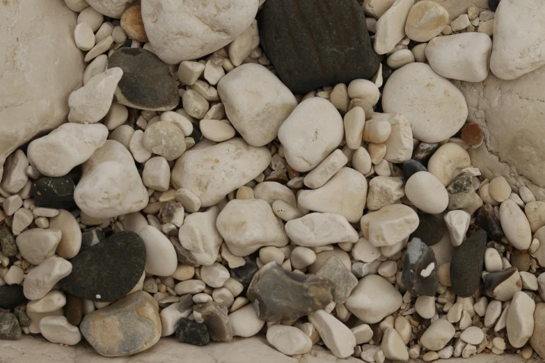 rocks and pebbles are a combination to create an unusual pattern in this po