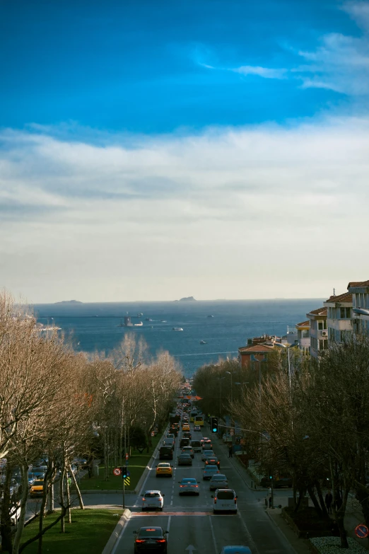 cars are driving on a wide street with lots of trees and the ocean in the distance