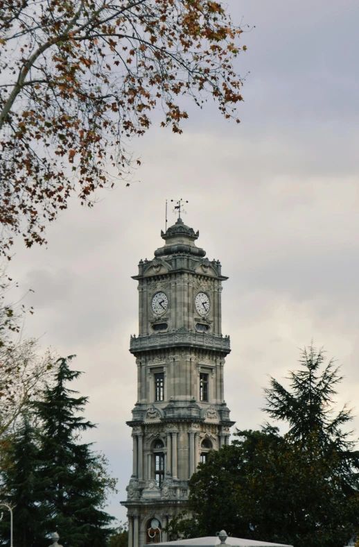 a clock tower that is located in the middle of a park