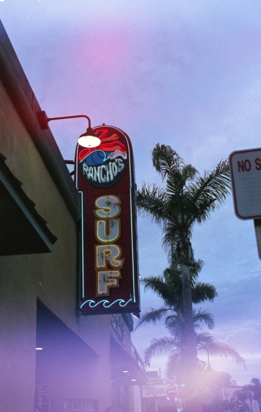 a close up of a neon sign and palm trees