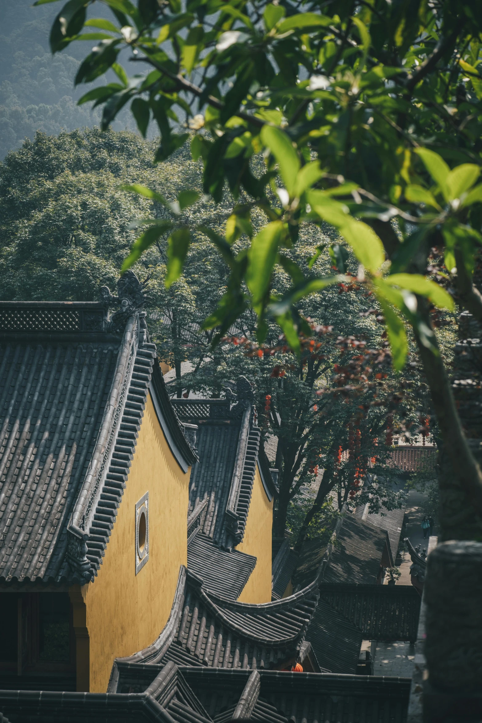 the roof tops of some traditional buildings with trees in the background