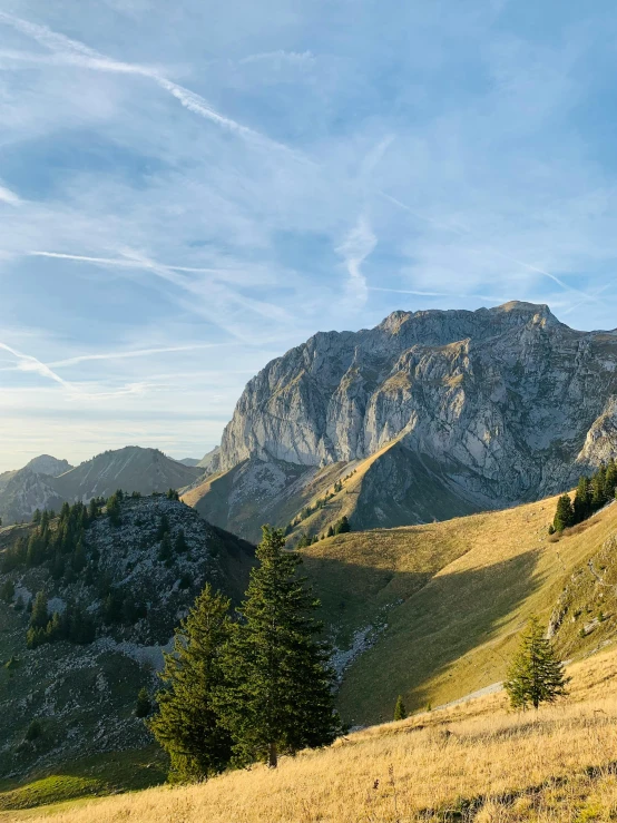 mountains with several green trees on each side and an area covered in grass