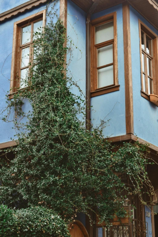 a building with two story and a green tree outside