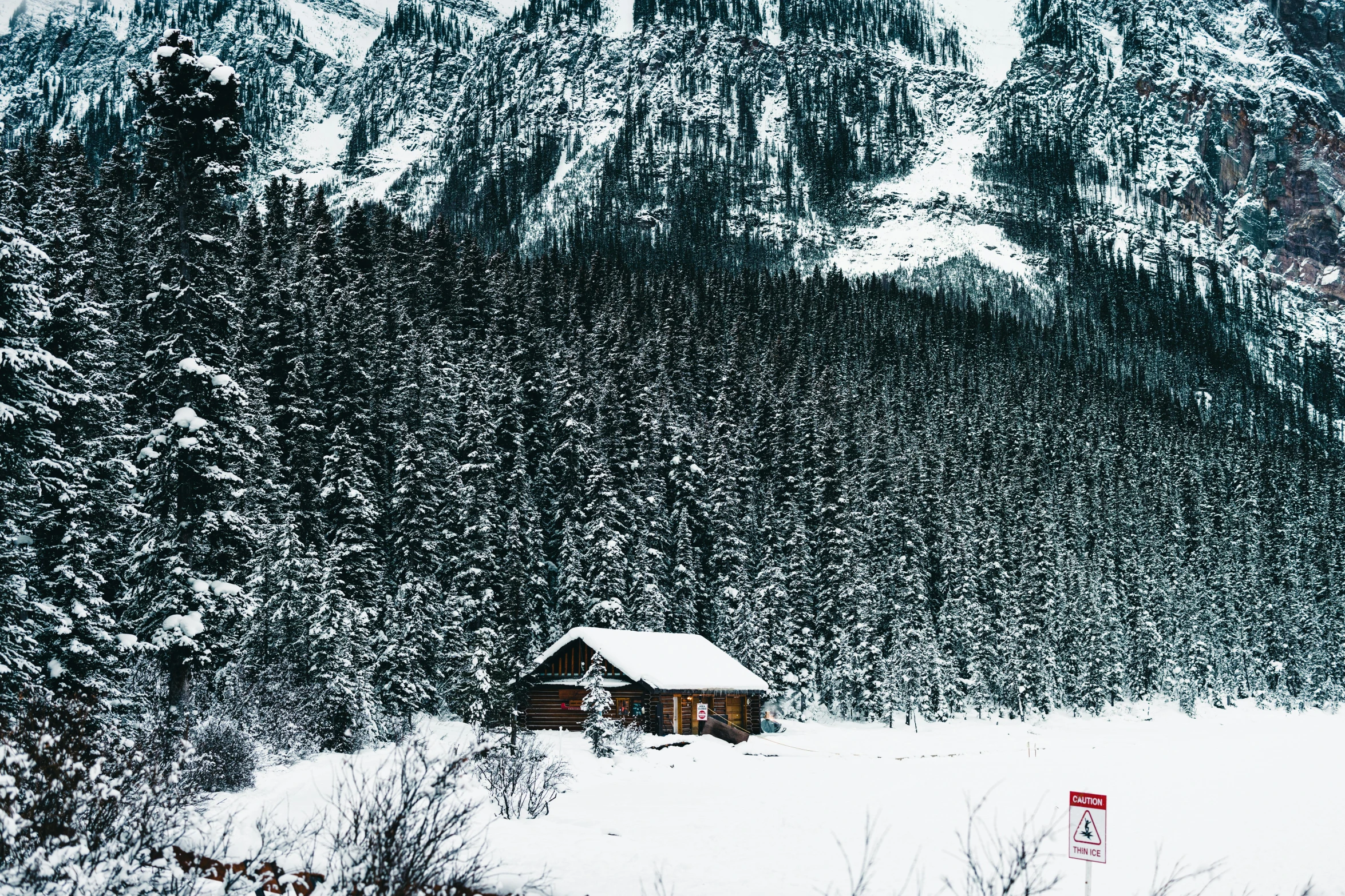 a mountain side house in the snow, with trees in the background