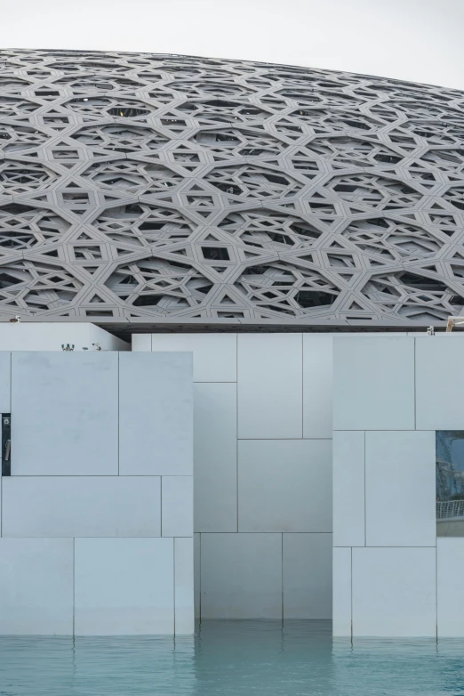 the structure of a building with many different designs is made of a wavy, reflective mesh