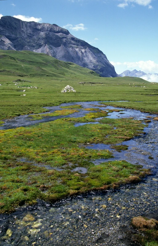 a large river flowing down the middle of a lush green field