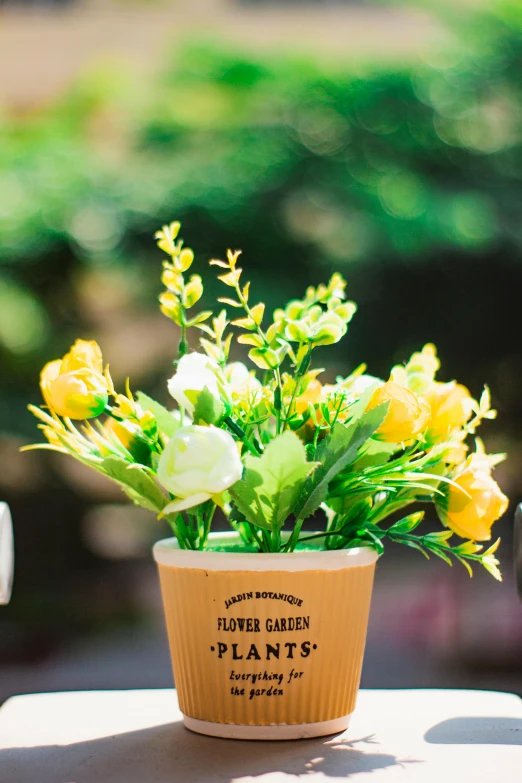 a plastic cup that has some flowers in it