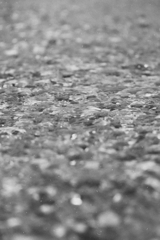 rain drops are sitting on top of a pavement