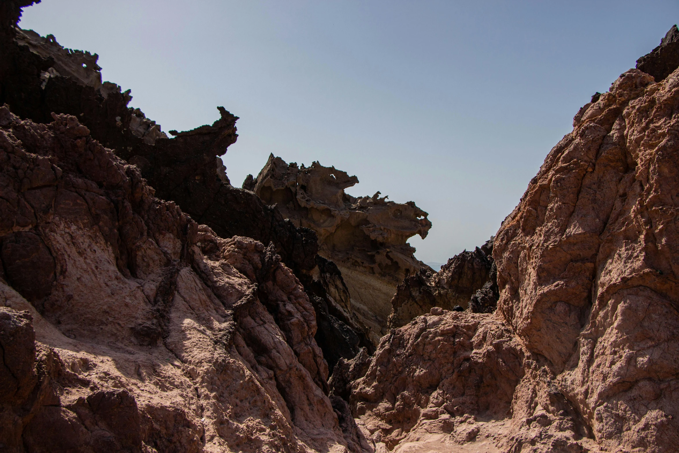 two animals standing in the distance on the rocks