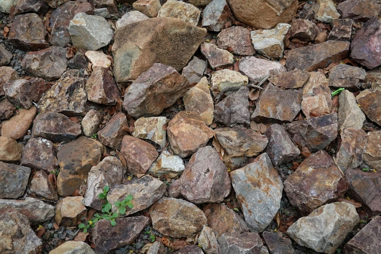 a closeup of some rocks on the ground