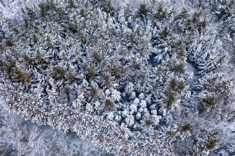 a view of an area that is covered in snow