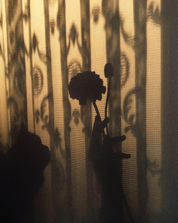 a flower pot and flower sitting in a room with long shadows