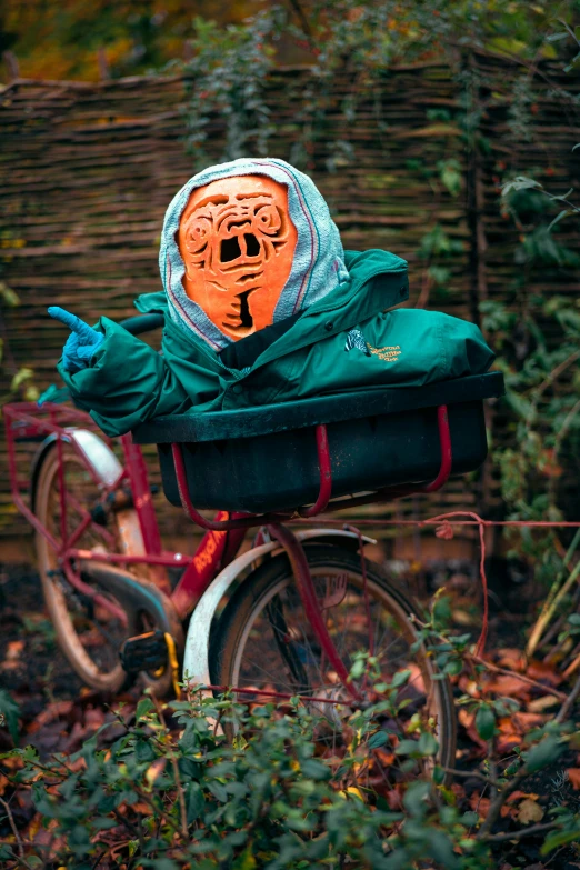 a mask on the back of a bicycle