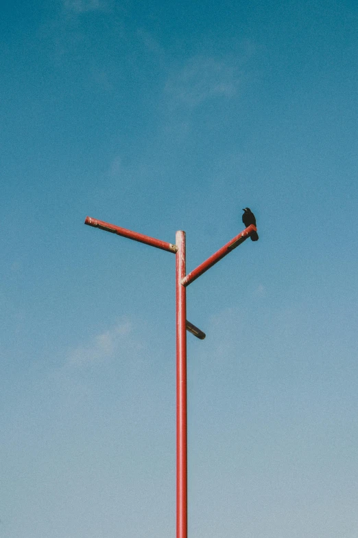 a bird perched on top of a red street light pole