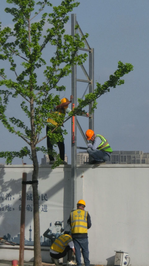 two men are working on some trees next to a wall