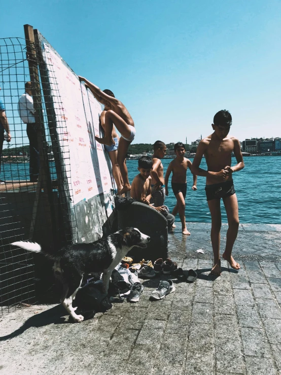 group of people gathered around a dog on a pier