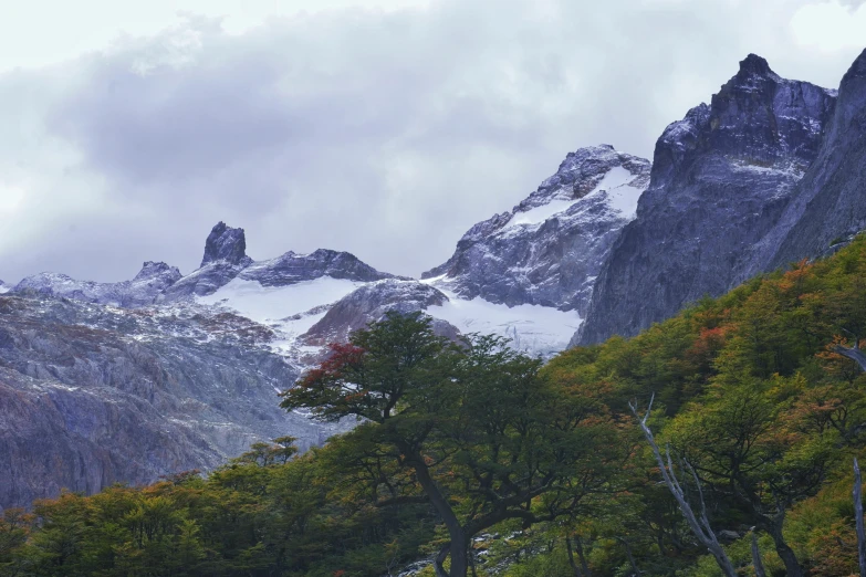 mountains, with snow and green trees, and a stream