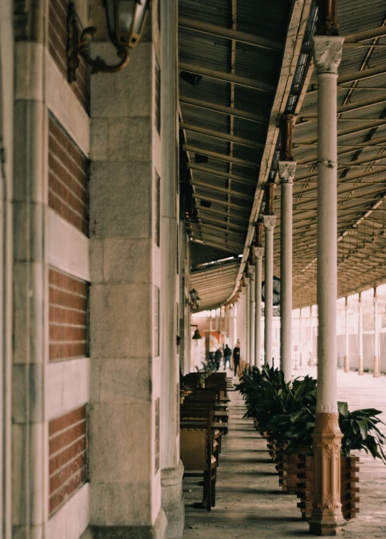 this is a long line of planters in the courtyard