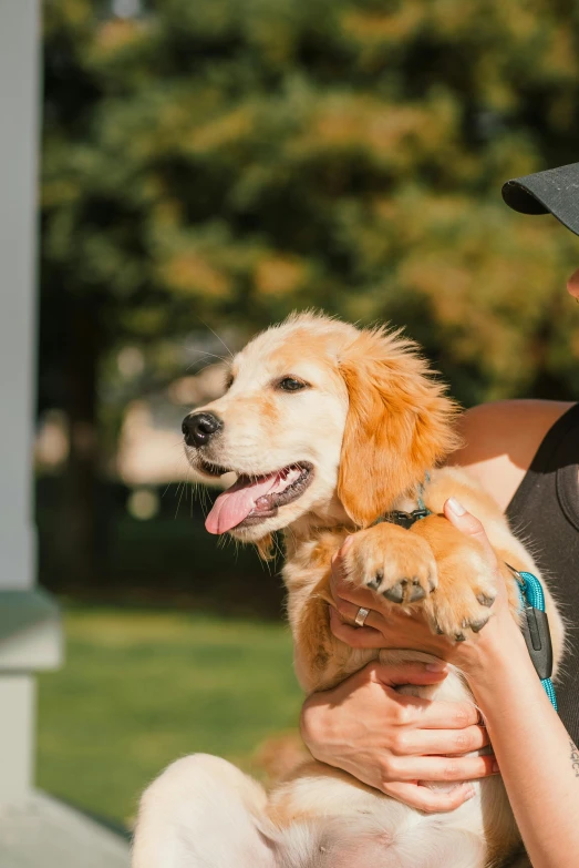 a person is holding a puppy outside on the grass