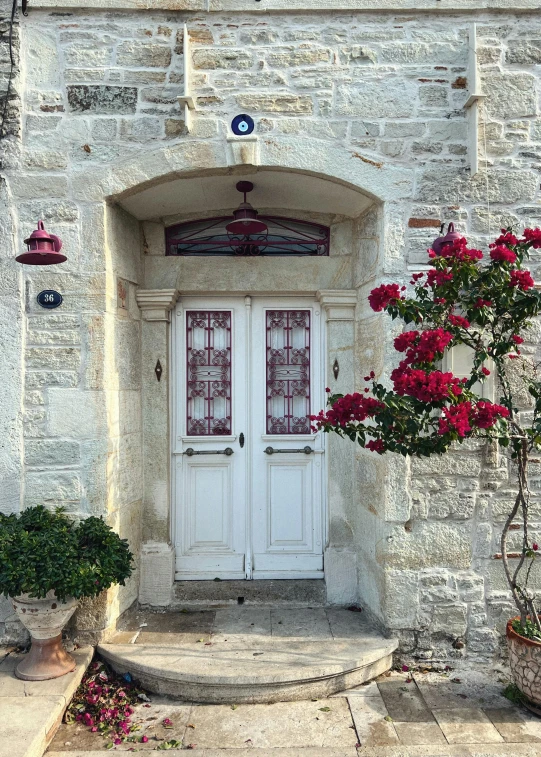 a door and potted flowers in front of a building