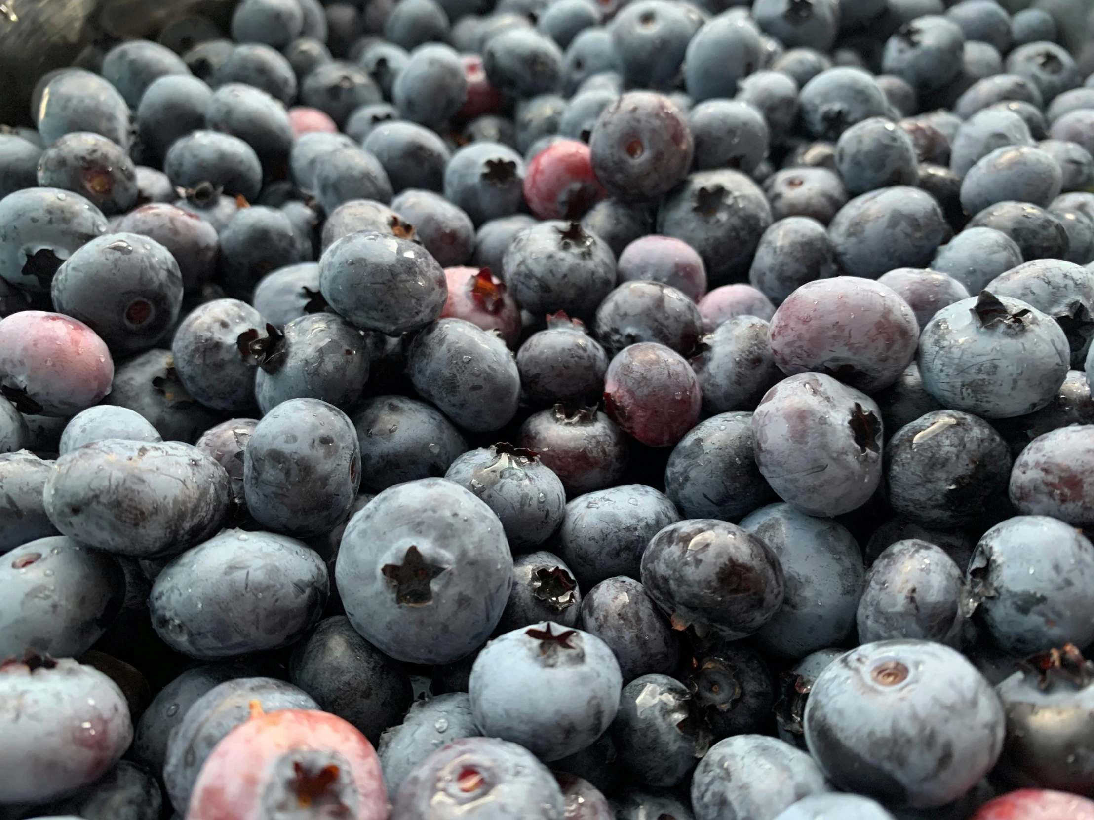 blueberries on a table ready to be eaten