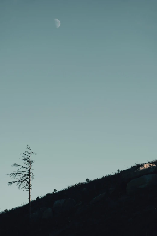 a person standing on a hill looking at the moon