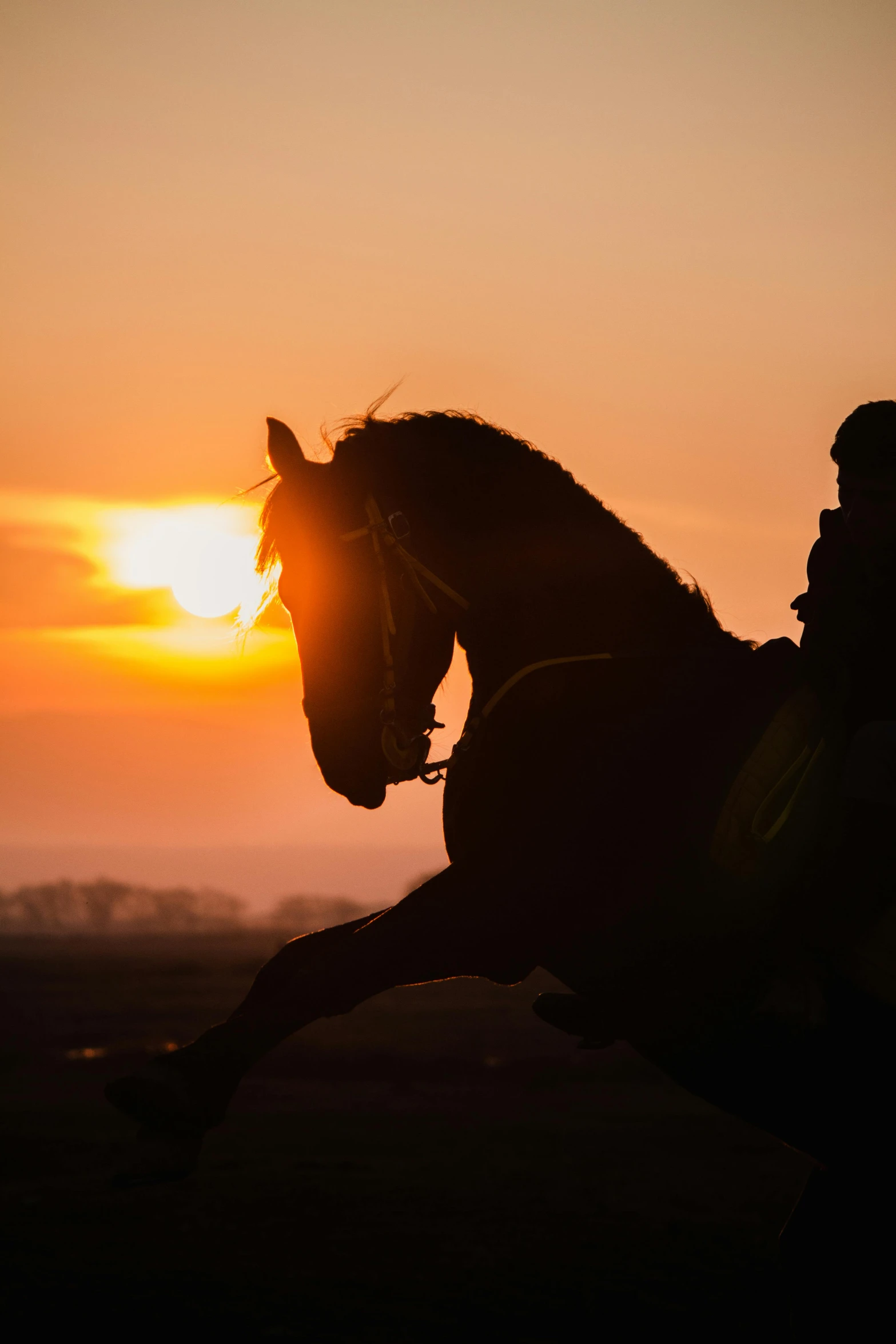 horse and rider silhouetted against a sunset