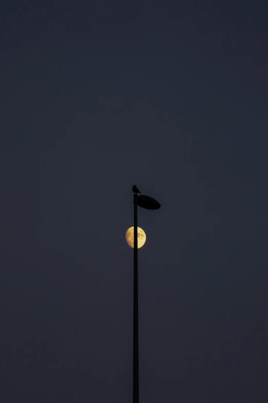 a full moon and a street light