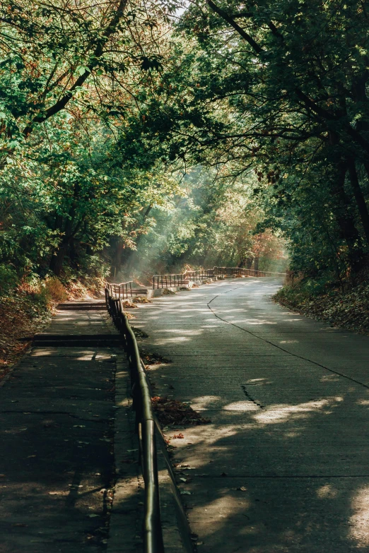 a street lined with lots of trees and benches