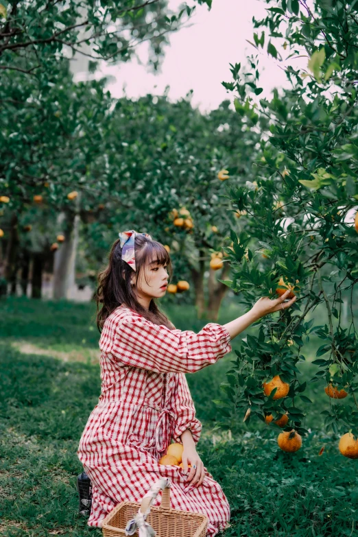 a woman reaching into an apple tree