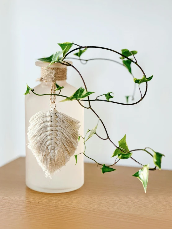 a plant with leaves hanging from it and a vase