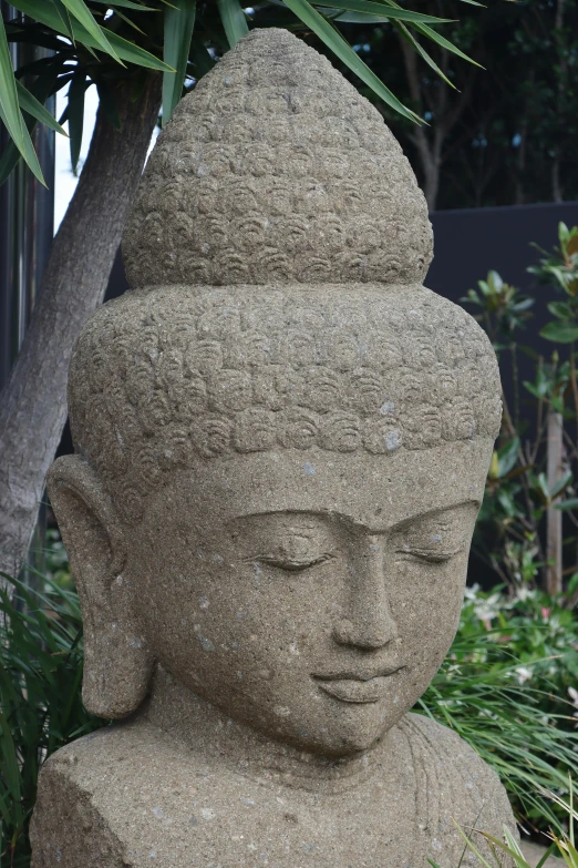 the stone statue has a small plant in it's head