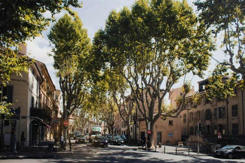 some trees and buildings are on the side of the street