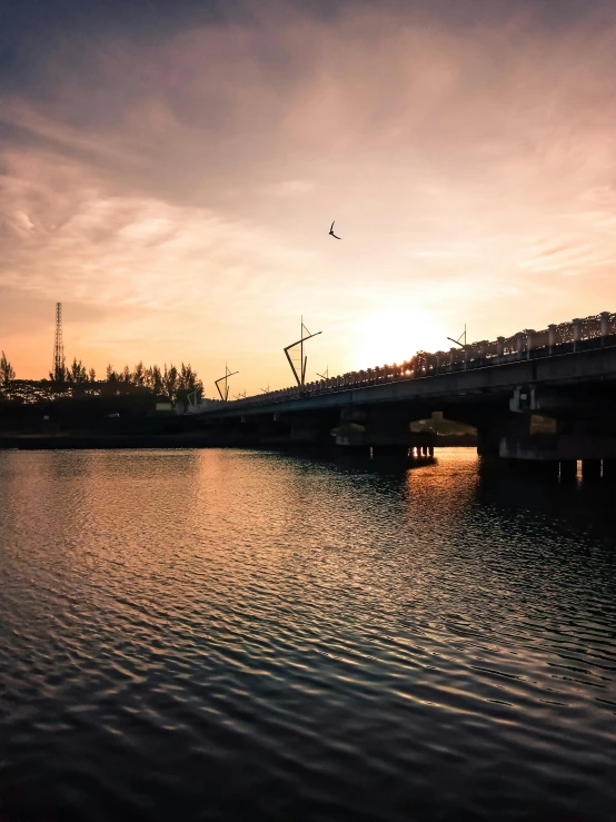 a bridge with water and a traffic light