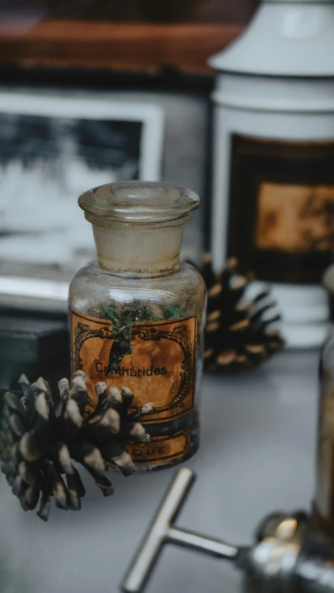 a glass jar of liquid surrounded by pine cones and tin cans