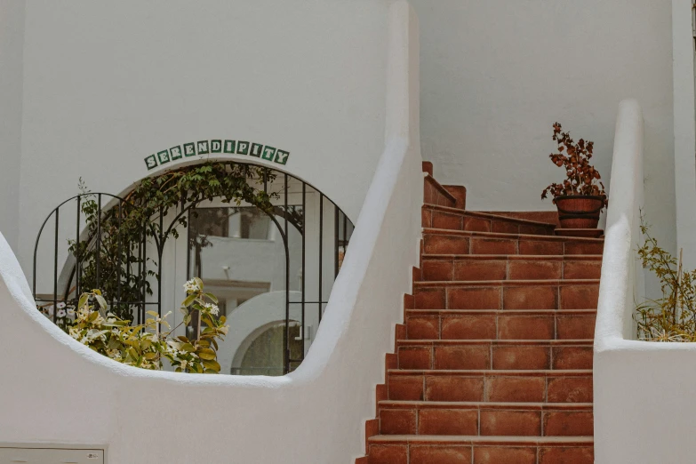 an indoor stairway with pots of plants and a mirror