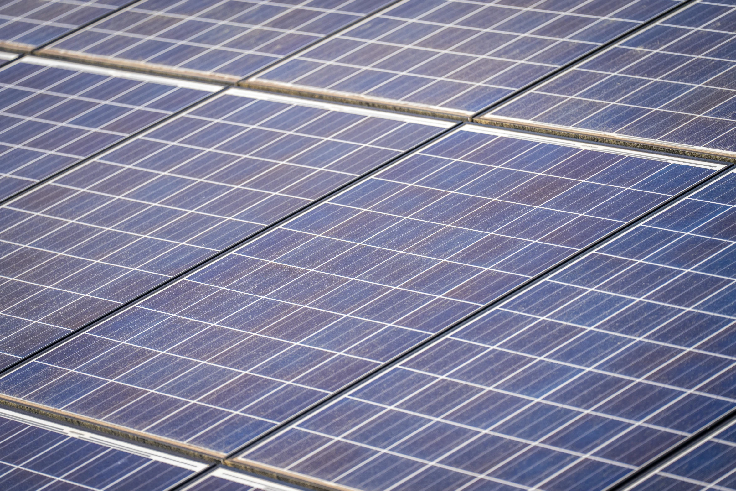 rows of blue solar panels with white stripes on them