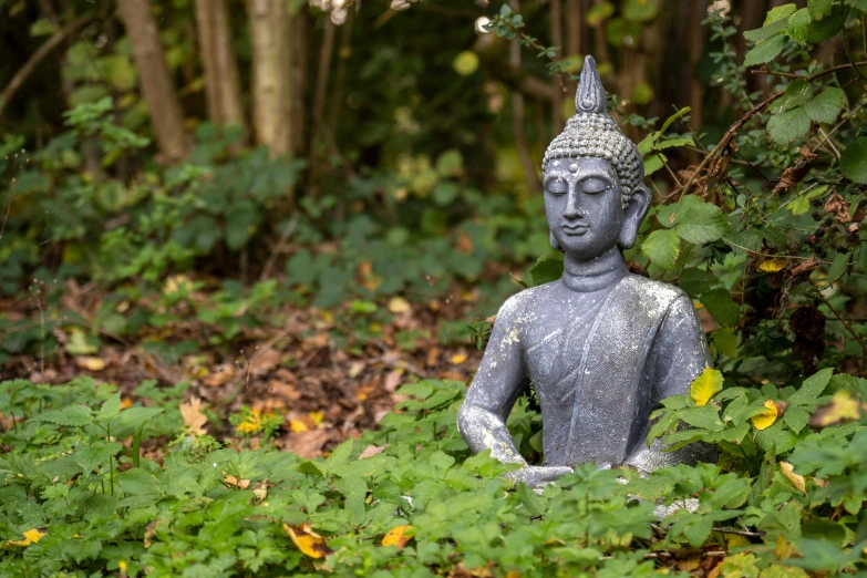 a small statue sits in the middle of the forest