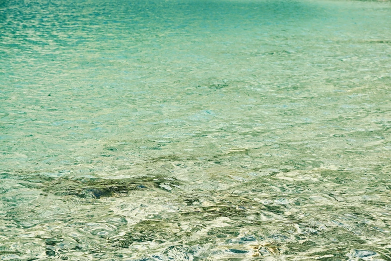 a bench is sitting in the shallow water